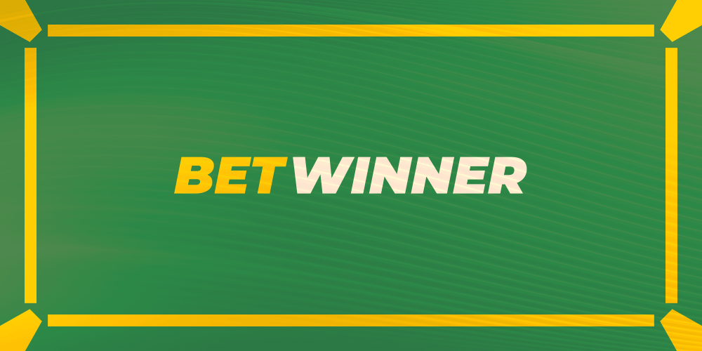 Understanding the BetWinner Privacy Policy Protecting Your Data