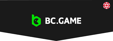 Unleashing the Excitement of BC.Game USA App