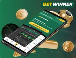BetWinner Online Casino Unlock the World of Exciting Gamification
