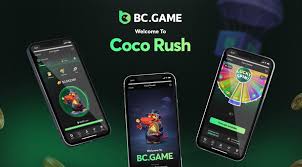 Experience Excitement at BC.Game Online Casino